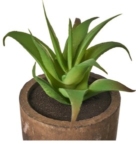 Piante artificiali in set da 4 (altezza 10 cm) Cactus - Casa Selección