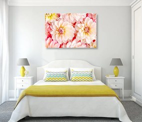 Stampa su tela – Fiori delicati di dalia