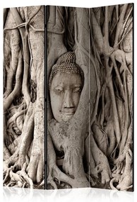 Paravento Buddha's Tree [Room Dividers]