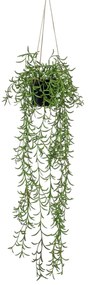 Pianta Di Senecio Artificiale Cespuglio Sospeso İn Vaso 70 Cm /