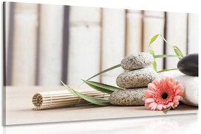 Quadro su tela – Natura morta benessere meditativa