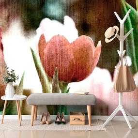 Carta da parati – Prato di tulipani in stile retrò