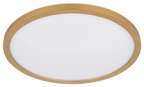 Globo 41562-24MM -Plafoniera LED dimmerabile da bagno SAPANA LED/24W/230V IP44