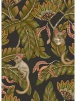 Cole & Son Carta da parati Bush Baby - 119/7031