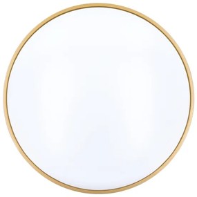 Solight WO8013 - Plafoniera LED dimmerabile CALA LED/48W/230V 3000-6500K + +TC