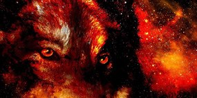 Stampa su tela – Lupo misterioso
