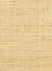 Élitis Carta da parati Cesteria - RM 1017 03