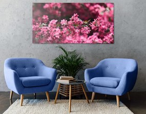 Stampa su tela – Dettaglio di fiori di ciliegio