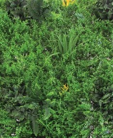 Siepe Sempreverde Verticale 100x100 cm – Realistica, resistente, decorativa