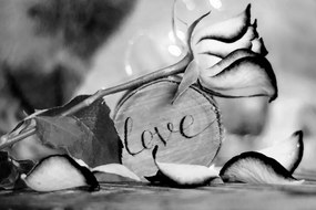 Quadro su tela – Dichiarazione romantica in bianco e nero Love