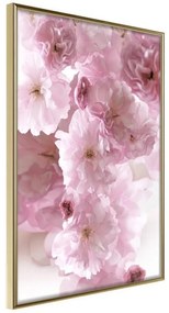 Poster  Path Paved with Flowers  Cornice Quadri Cornice d'oro, Larghezza x Altezza Home decor 40x60