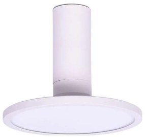 Rabalux 71328 - Plafoniera LED OVIDIA LED/20W/230V 3000K bianca