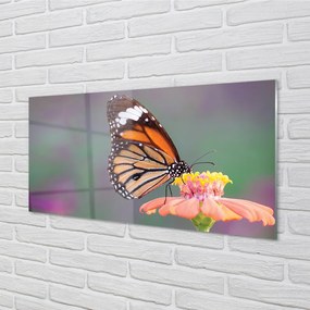 Quadro su vetro acrilico Fiore di farfalla colorato 100x50 cm
