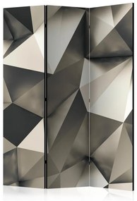 Paravento  Cosmic Silver [Room Dividers]  Colore ---, Dimensioni e Misure 135x172