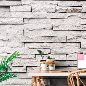 Carta da parati – Rivestimento in pietra elegante