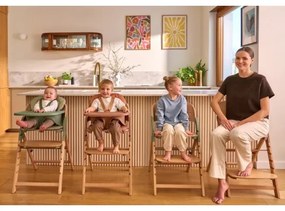 Lionelo - Seggiolino da pranzo per bambini 3 in 1 MEGAN Legno Grigio