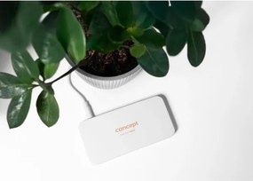 Concept KZ2010 - Specchio cosmetico LED PERFECT SKIN LED/1,5W/5V 300 mAh bianco