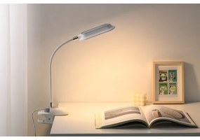 Immax 08997L - Lampada da tavolo LED+CCT dimmerabile con clip CLIP 7,5W/230V bianca