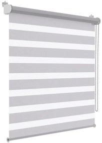 Tenda a rullo giorno / notte Orleans grigio chiaro 80x250 cm