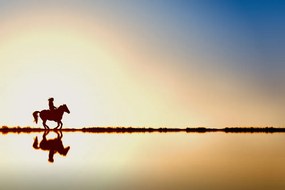Carta da parati – Cavaliere a cavallo