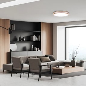 Solight WO8008 - Lampada LED dimmerabile WOODY LED/60W/230V 3000-6500K Ø 50 cm +