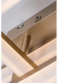 Rabalux 71384 - Plafoniera LED AMILIA LED/22W/230V 3000/4000/6500K oro