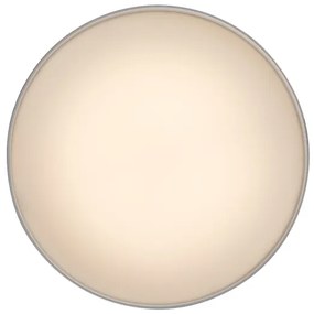 Rabalux 71325 - Plafoniera LED OVIDIA 24W/230V 3000K bianco