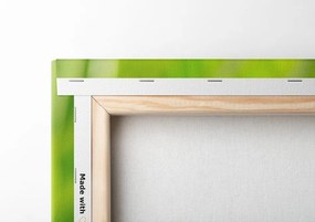 Quadro su tela – Buddha armonioso
