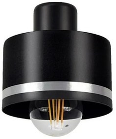 Lampadario a plafone BODO SILVER 3xE27/60W/230V