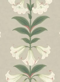Cole & Son Carta da parati Angels Trumpet - Chalk/ Sage on Stone