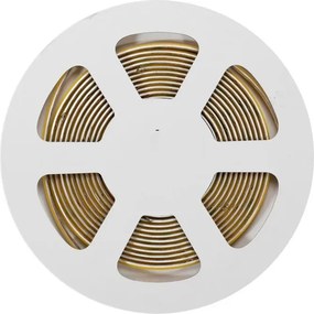 Striscia LED COB 24V 12W/m Tagliabile ogni 8mm Professionale IP20 - 5 metri