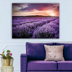 Dipinto 100x70 cm Lavender Field - Wallity
