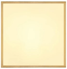 Globo 12382-22 - Plafoniera LED TIBEY LED/22W/230V 35x35 cm