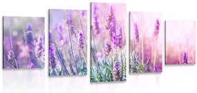 Quadri 5 pezzi – Fiori magici di lavanda