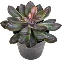 Pianta Artificiale Succulent con Vaso H 20 cm