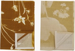 Set di 2 strofinacci Celleste