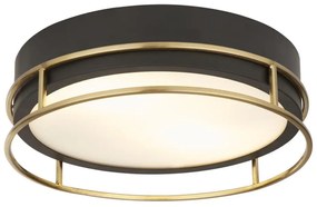 Searchlight 62012-2PB - Plafoniera da bagno PHEONIX 2xE14/60W/230V IP44