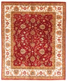 Samarkand Tappeto 250x300 (Afghanistan)