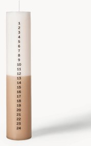 Candela dell'Avvento Duo