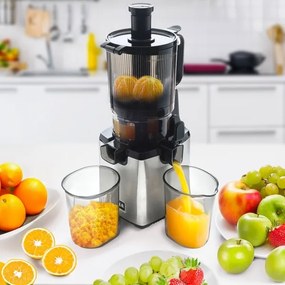 TESLA Electronics SlowJuicer Deluxe - Spremiagrumi lento 250W/230V acciaio inossidabile