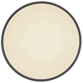 Globo 41587-18 - Plafoniera LED dimmerabile SONNY LED/18W/230V + +TC