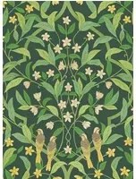 Cole & Son Carta da parati Jasmine & Serin Simphony - Yellow on Dark Forest Green