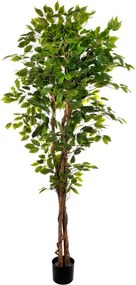 Pianta artificiale Ficus in vaso H 180 cm ø 16 cm