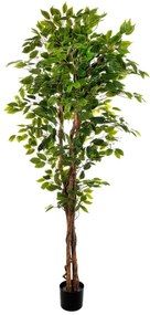 Pianta artificiale senza vaso Ficus H 240