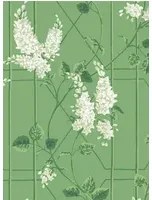 Cole & Son Carta da parati Wisteria - Sage/ Leaf Green