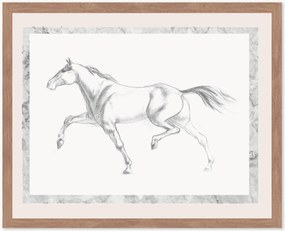 Stampa digitale incorniciata Single Horse, varie misure