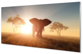 Quadro acrilico Albero di elefanti 100x50 cm