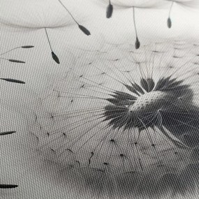 Quadro su tela – Soffione bianco e nero