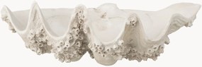 Ciotola decorativa Seashell Seashell