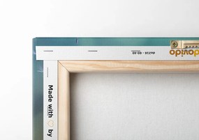 Stampa su tela – Soffione magico